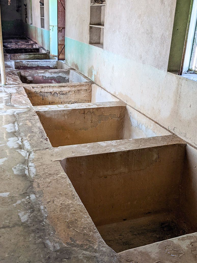 Vegetable tanning  pits