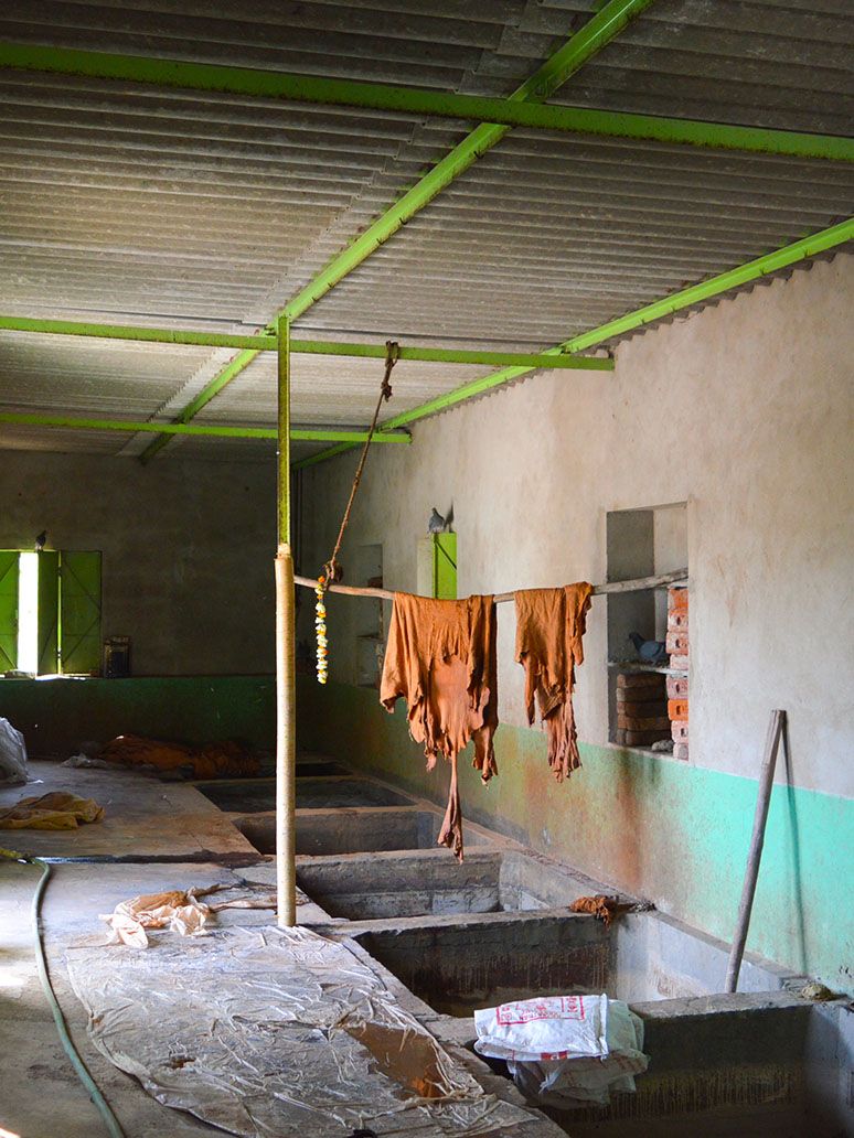 Vegetable tanning  pits